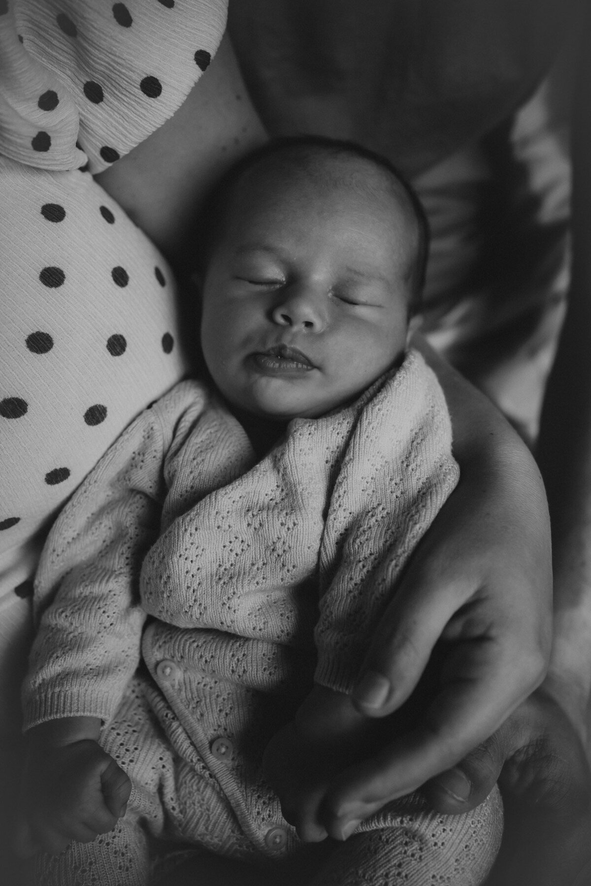 newbornshoot in leiden