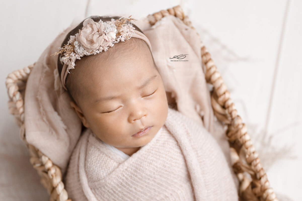 Edmonton Newborn Photography pink princess baby shoot