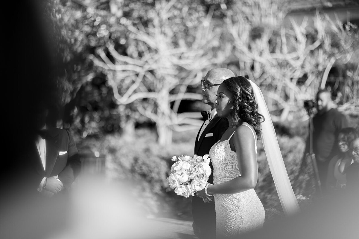 albrittonwedding-pharrisphotos.com553