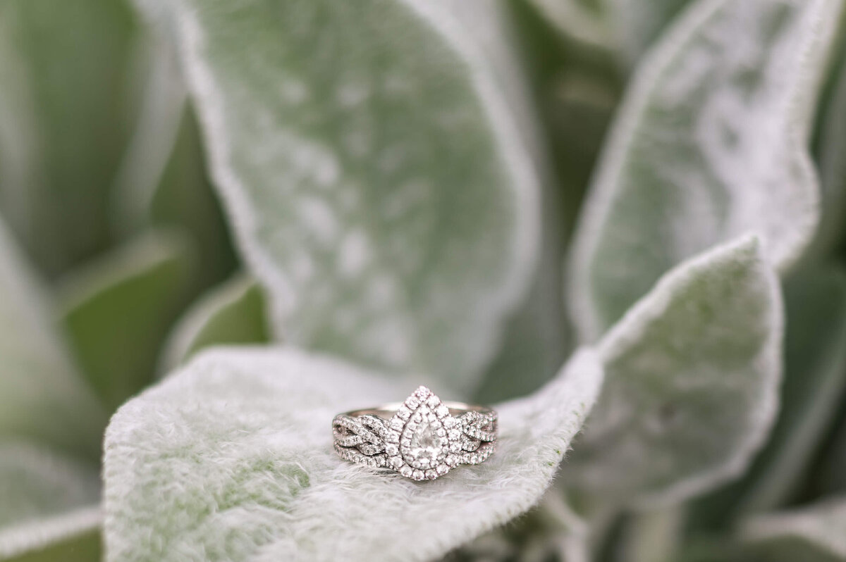 walled-garden-ring-shots-llp (1)