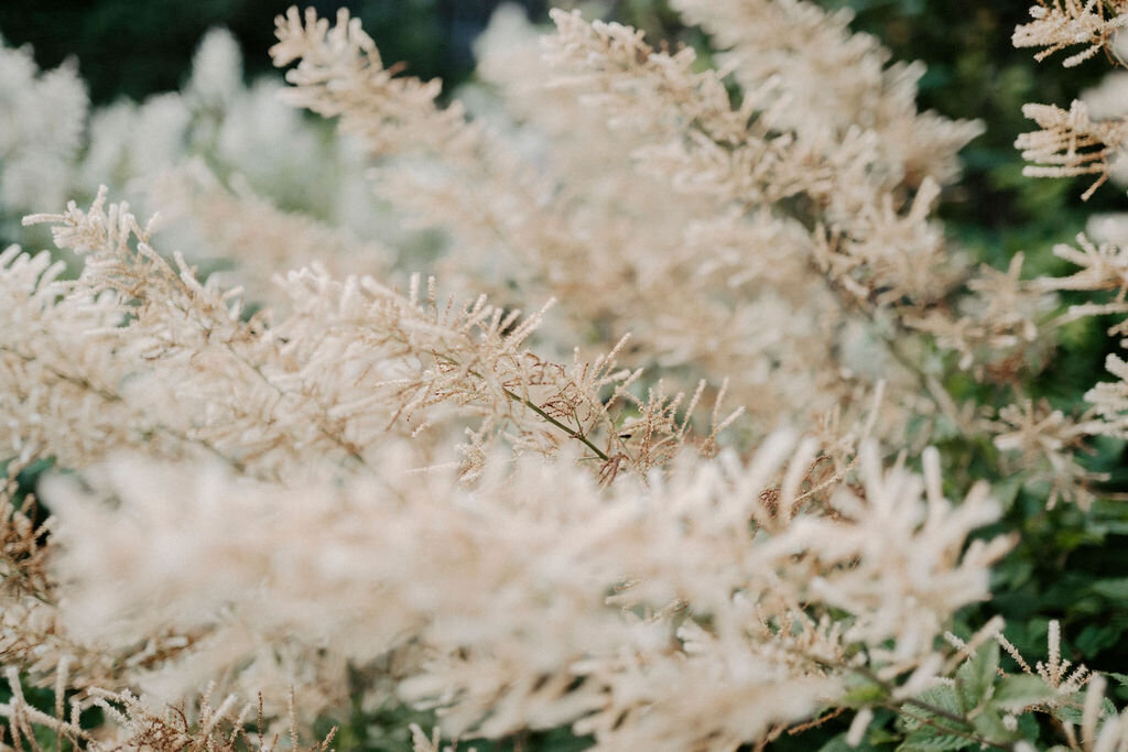 2153 Lisa Vigliotta Photography Cranberry Creek Gardens  Cinematic Fine Art Luxury Destination Wedding Photographer Toronto Europe