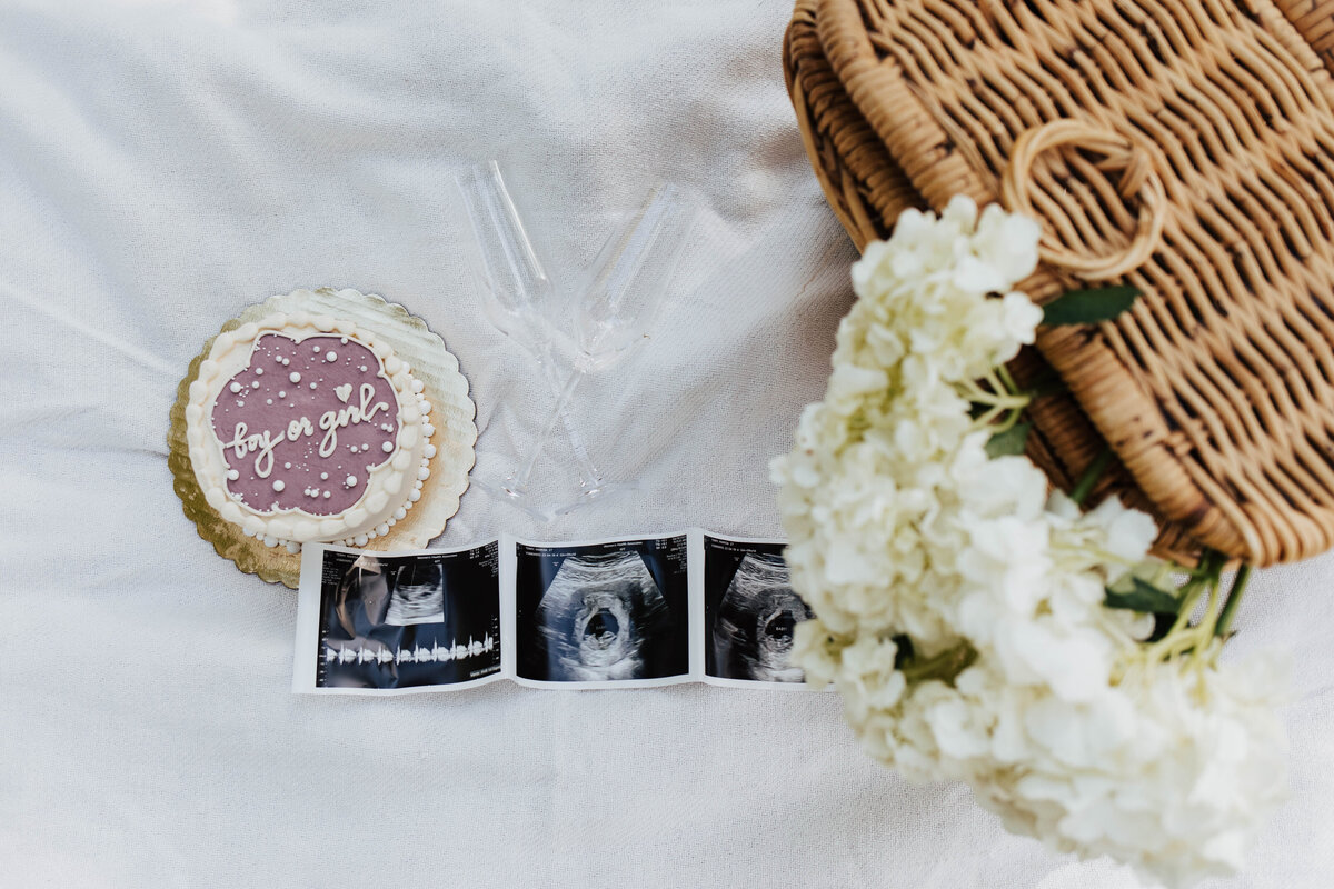 Boise gender reveal photoshoot