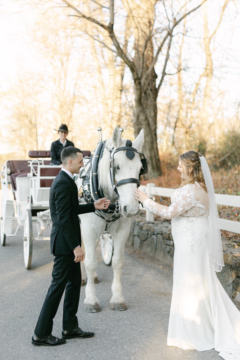 bride-portrait-light-and-airy-wedding-edit