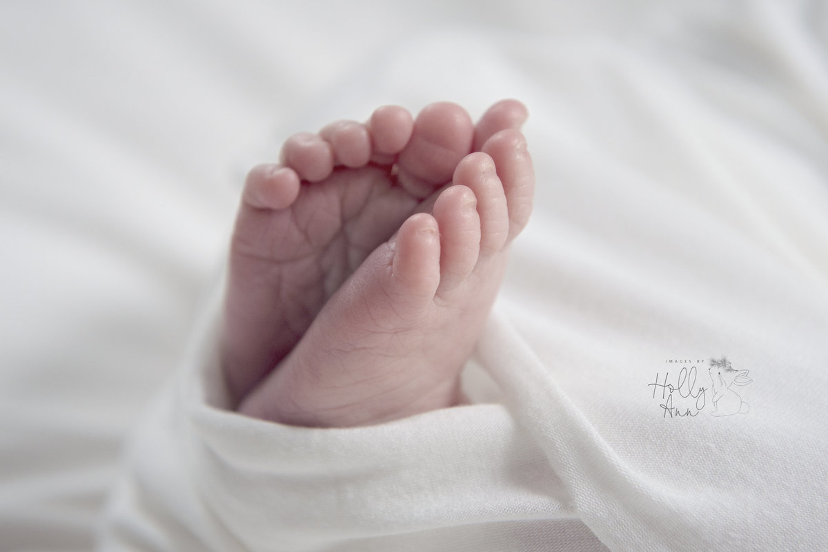 Glens Falls ny baby portrait of toes