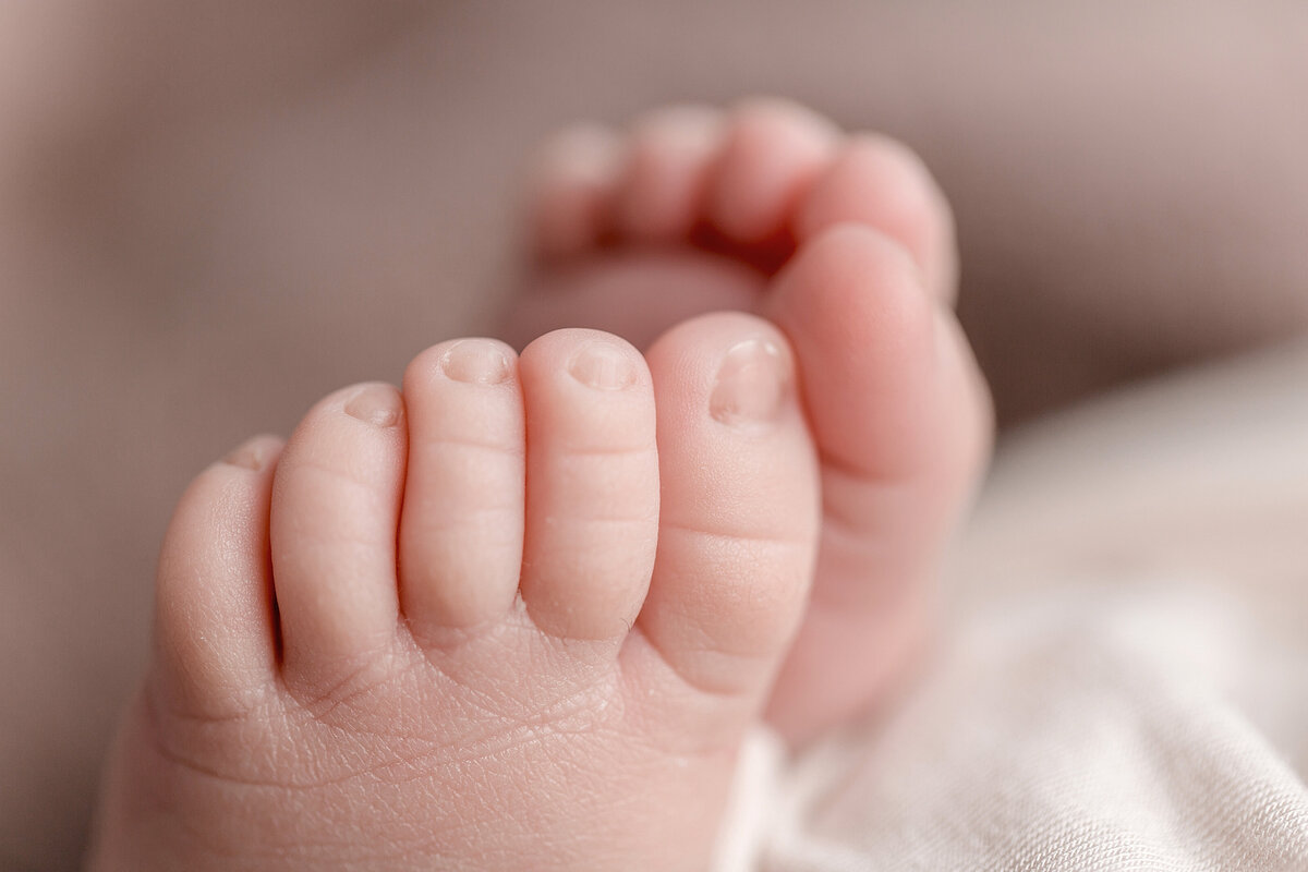 Adorable baby toes in newborn photo session with Nicola Herring Photography | Lancaster, PA