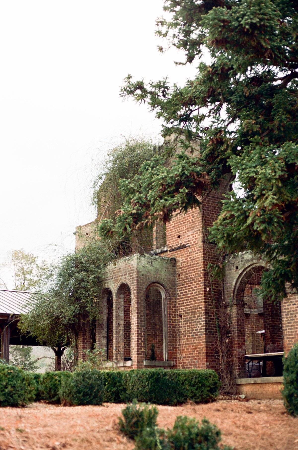 20241221_SCWedding_TLC_FILM-86