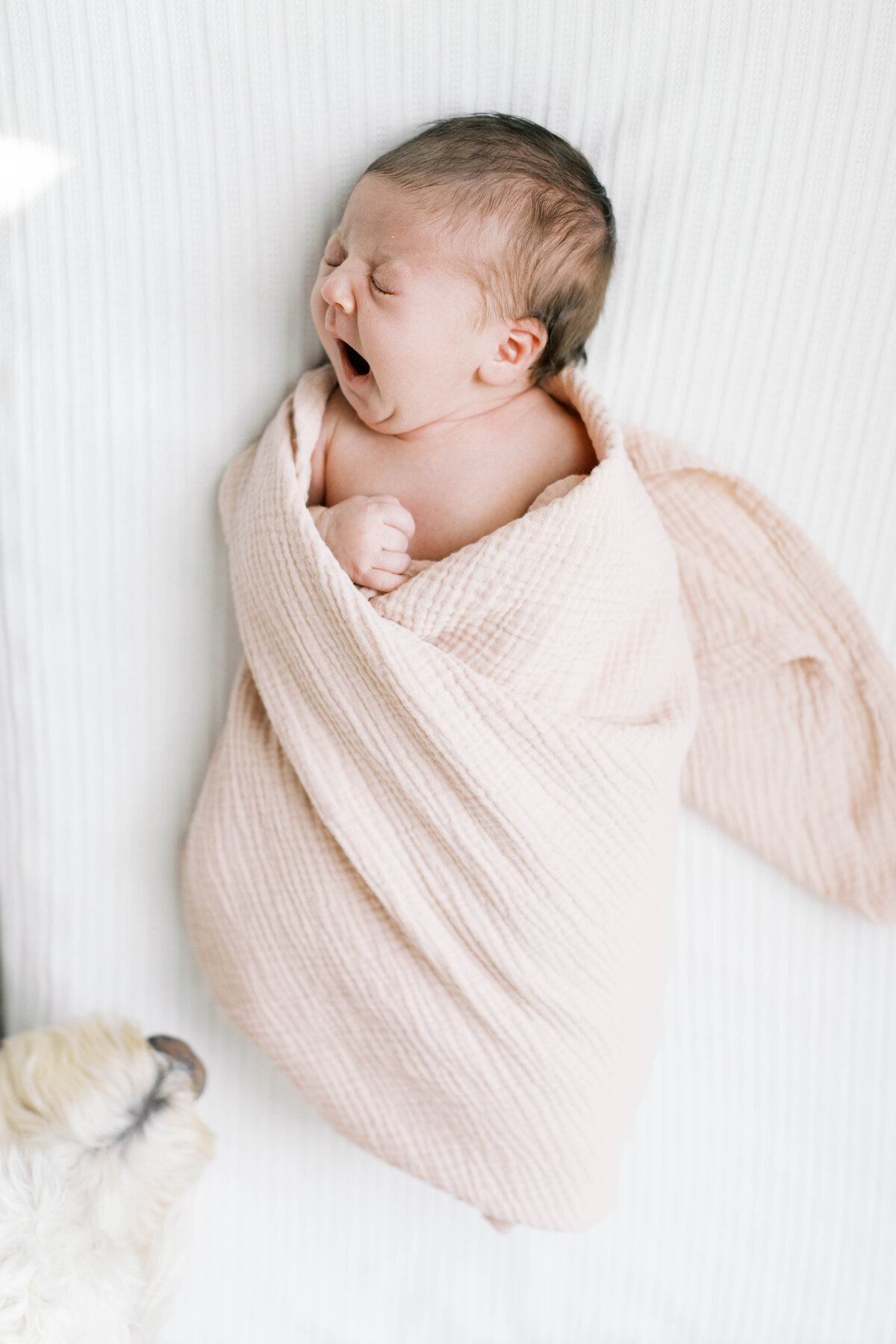 winston-salem-newborn-photographer54
