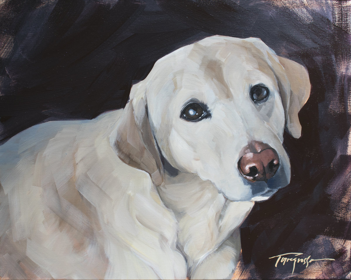 Torregrossa Fine Art Custom Pet Portrait by Stephanie Torregrossa Gaffney