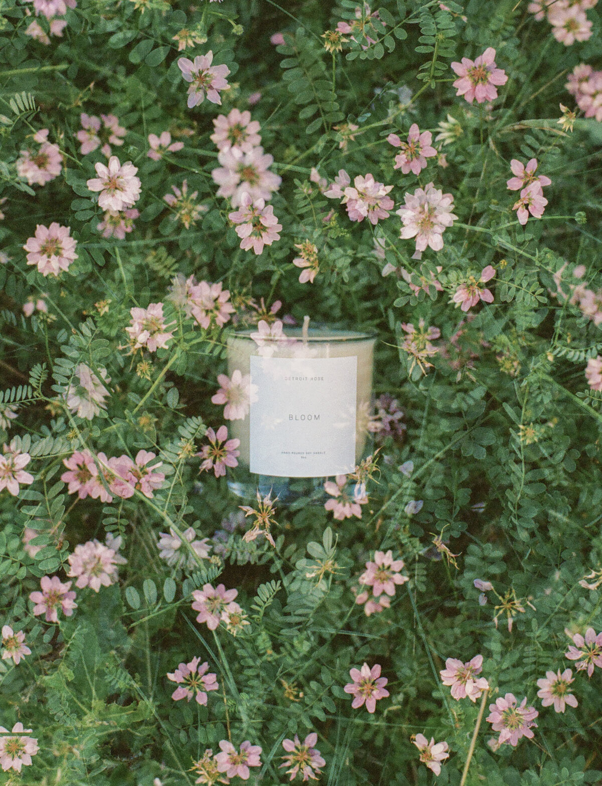 floral scent candle Bloom by Detroit Rose among pink wildflowers, film branding photography by Christina Harrison