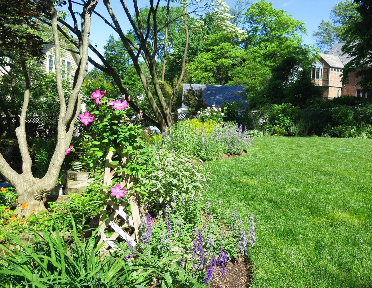 Vibrant garden with a trellis covered in pink climbing flowers, lush greenery, and a well-manicured lawn.
