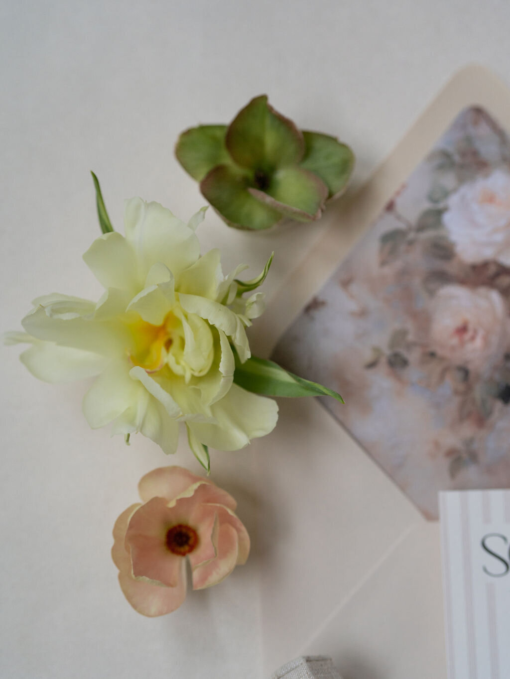 EditorialatEmersons2025159983