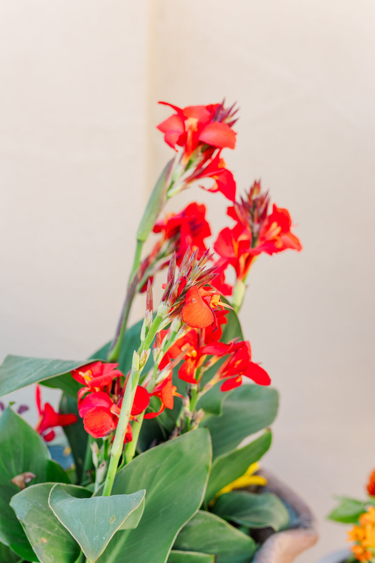 KATIEABEL042024-98
