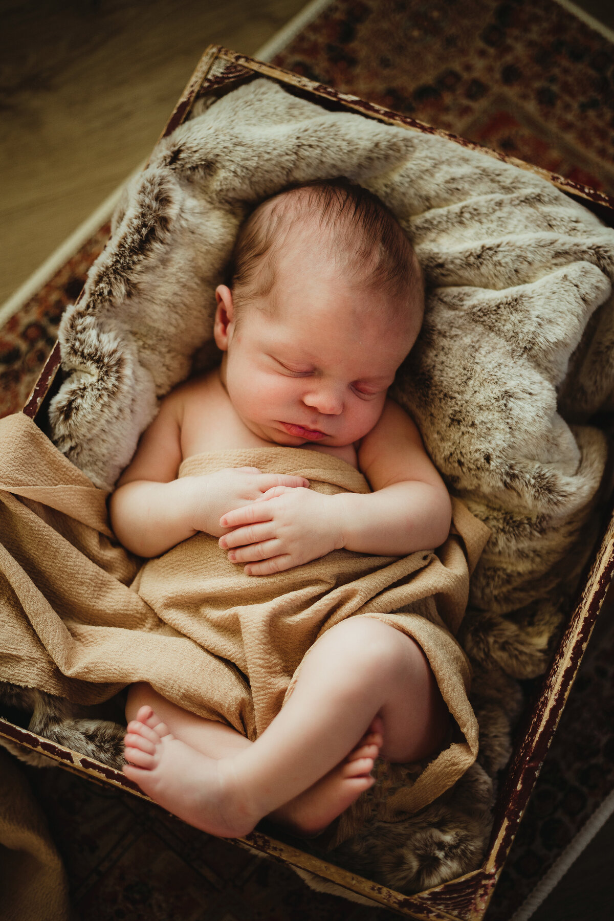 newborn session