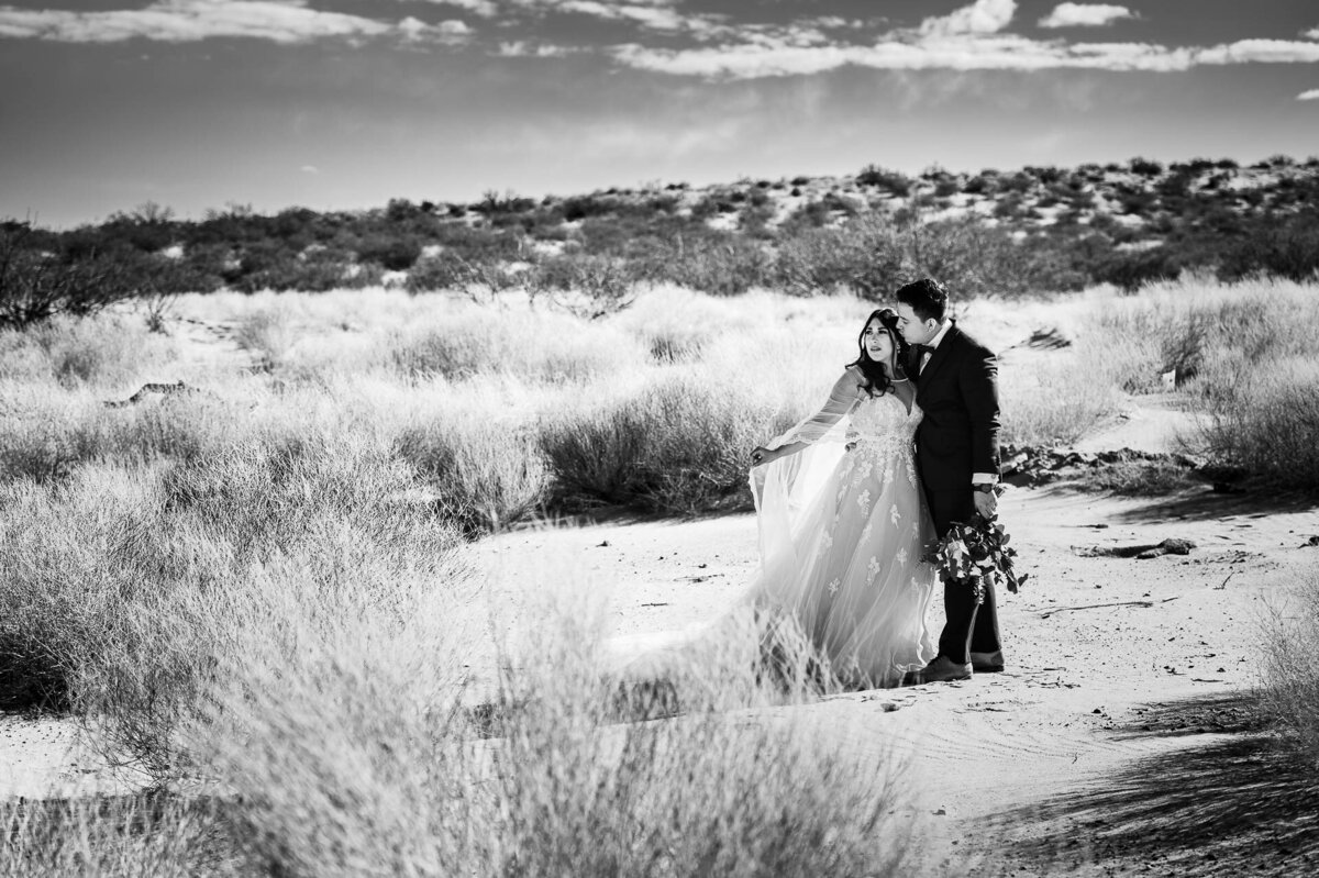 El Paso Wedding Photographer_075_MeMA_0827