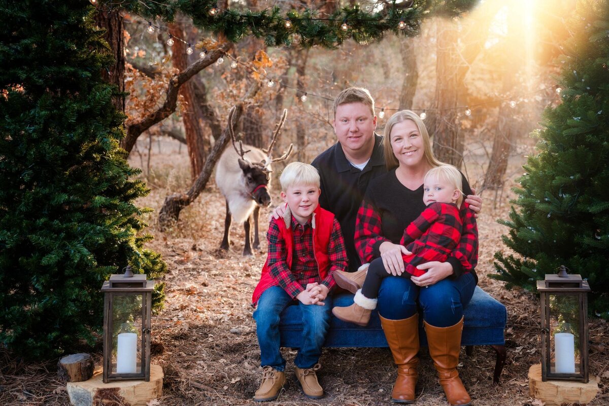 Comet Colorado Springs Reindeer photos