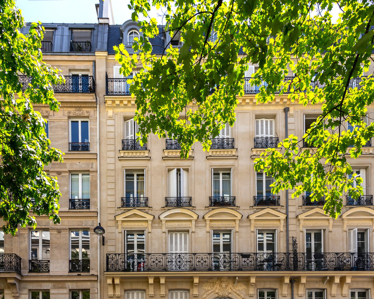 A classic European building with ornate balconies and large windows. The facade is lined with lush, green leaves from a tree in the foreground. The sky is clear and blue above the rooftop.