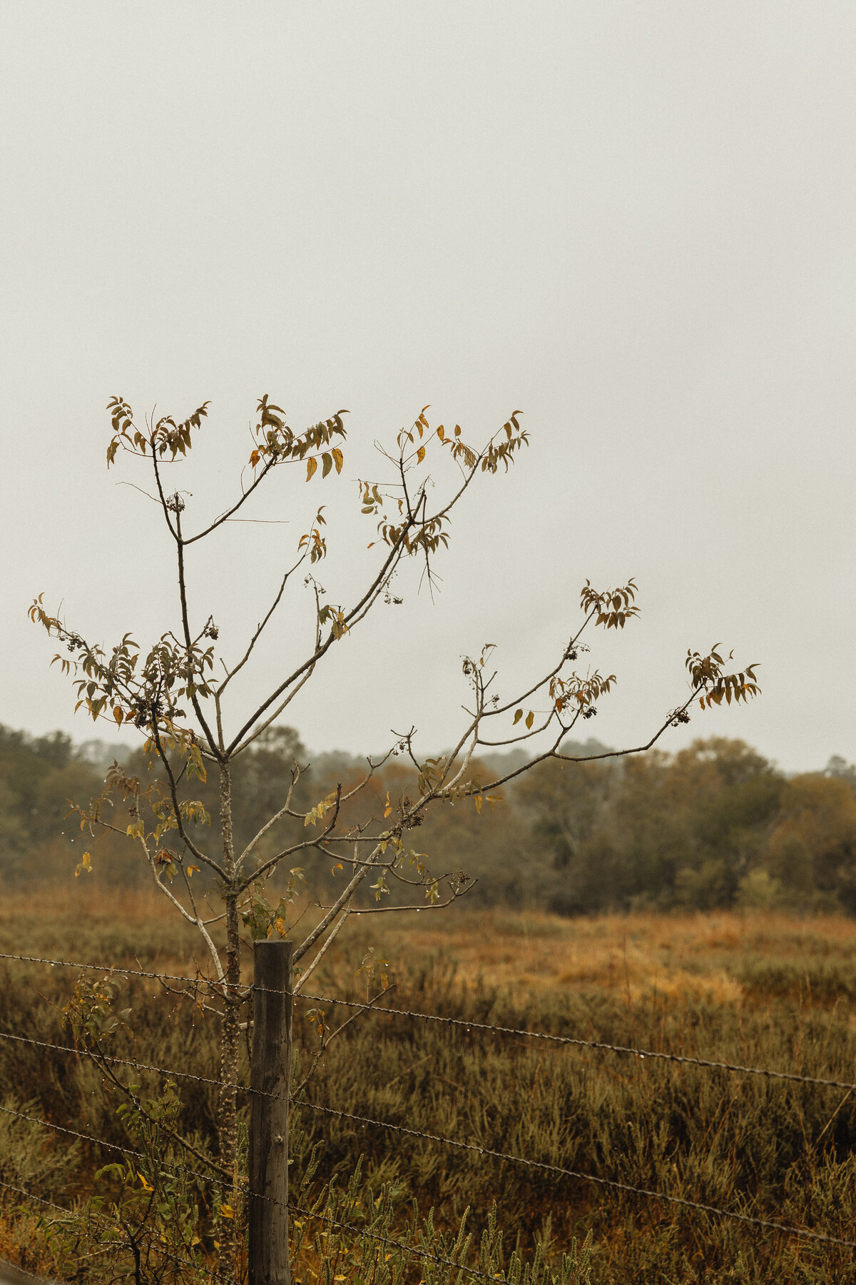 Wommack - 1 Before - Payton Hartsell Photography-2