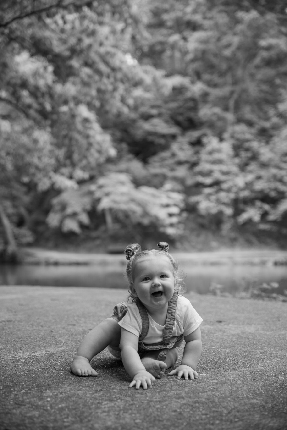 st louis missouri professional portrait photographer, couples photos, engagement photos, family photos