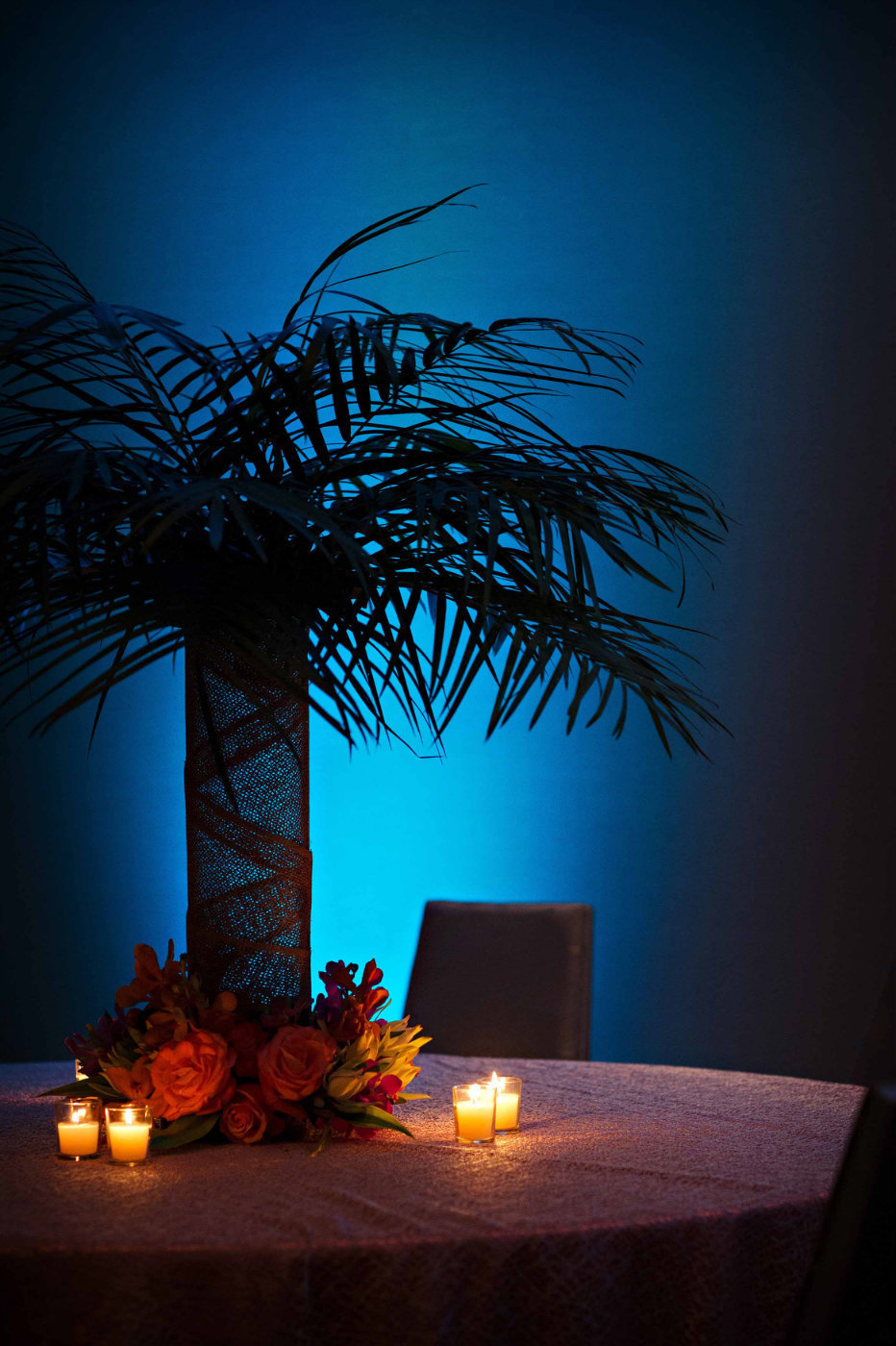 fern centerpiece with turquoise uplighting