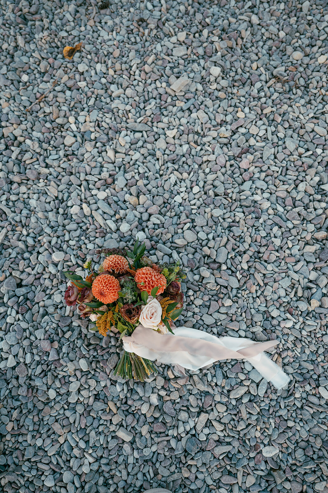 presley-gray-photo-glacier-national-park-elopement-7845