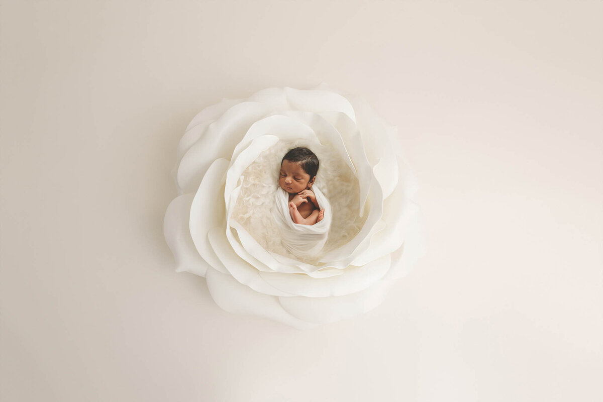 Charleston, SC Baby Photographer