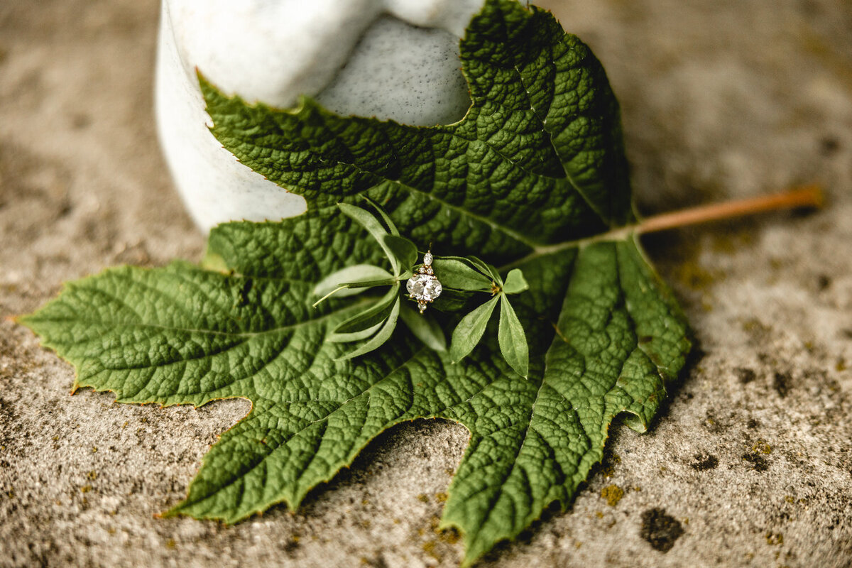 Engaged_ND_013