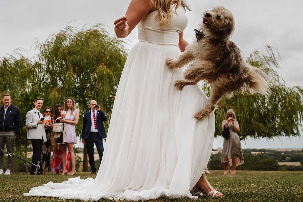 Ben Lee Photography - Hertfordshire wedding Photographer-272