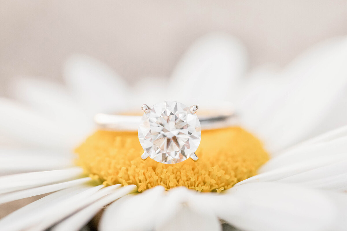 Engagement Ring on a Daisy Flower