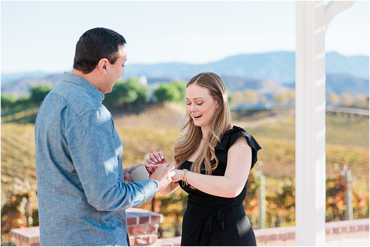 FallProposalAtLeonessWinery__0009