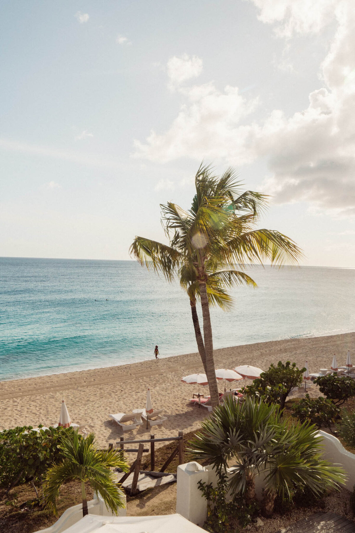 Scenic beach view with a sandy shore and calm turquoise water. A single tall palm tree stands near the foreground. Empty lounge chairs and umbrellas line the beach, while a lone person walks along the shoreline. Partial clouds dot the sunny sky.
