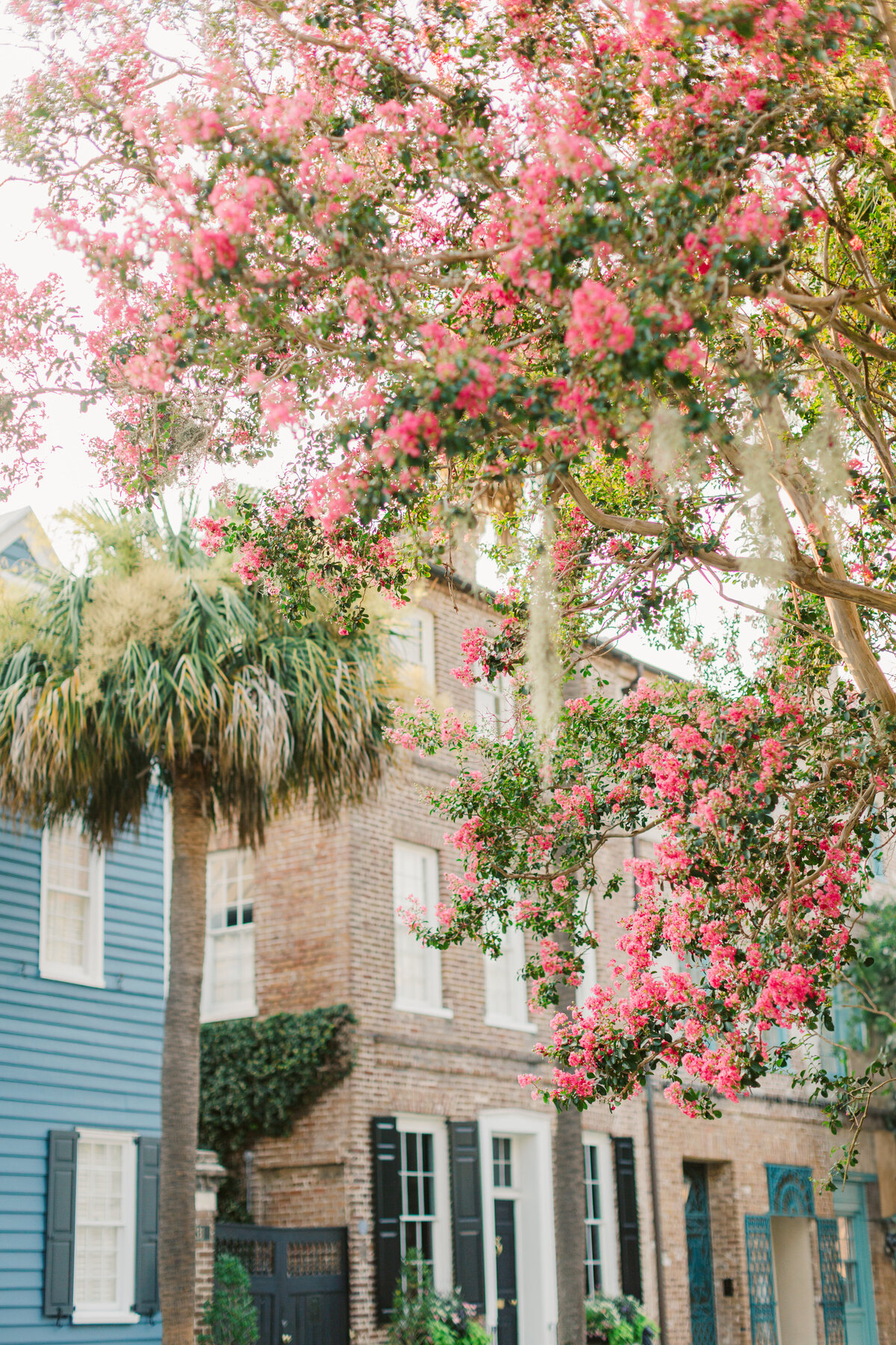 Charleston_weddings-5