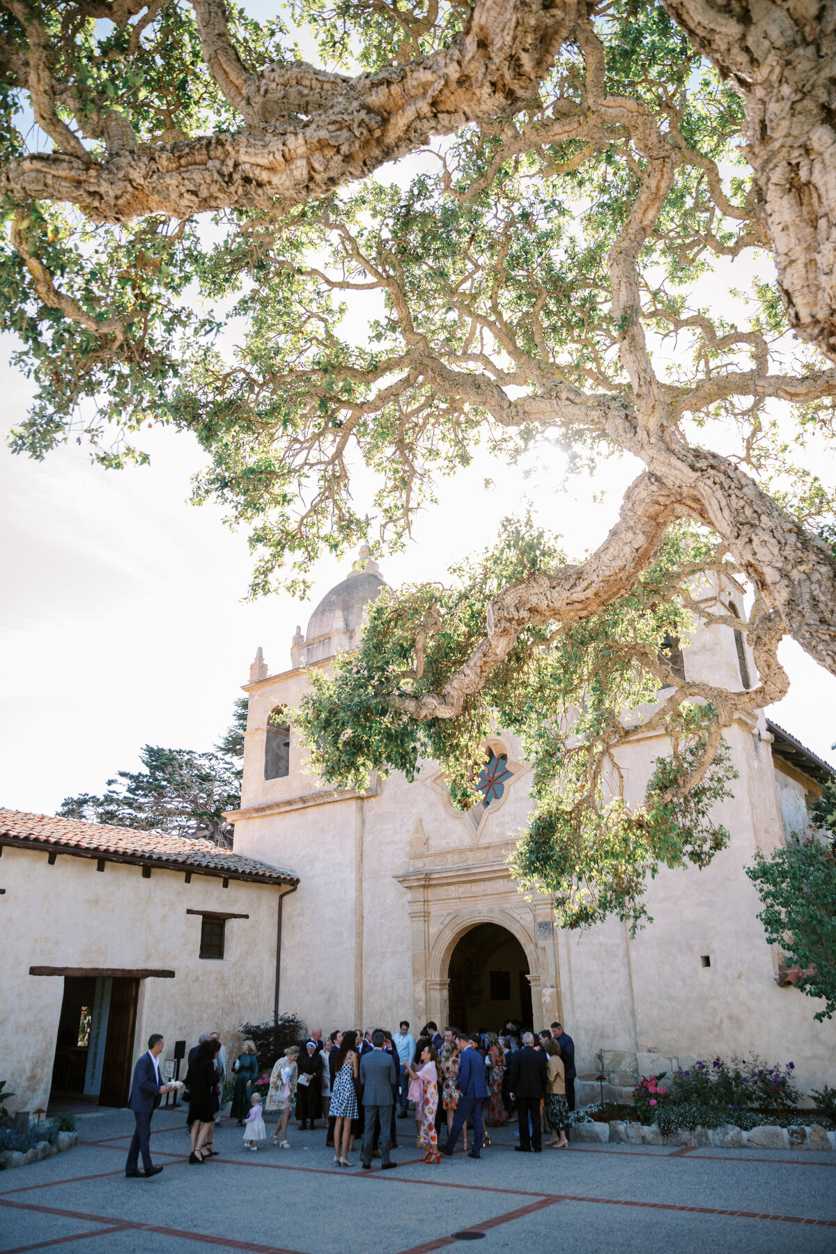 carmel wedding photographer-2