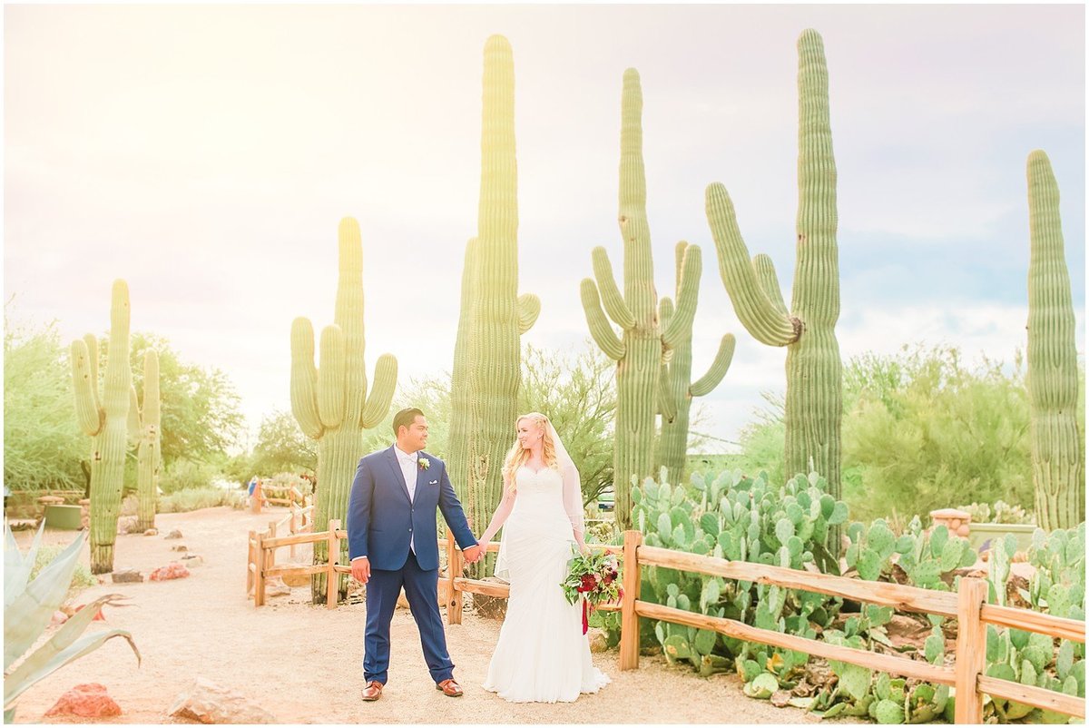 hand in hand surrounded by saguaros