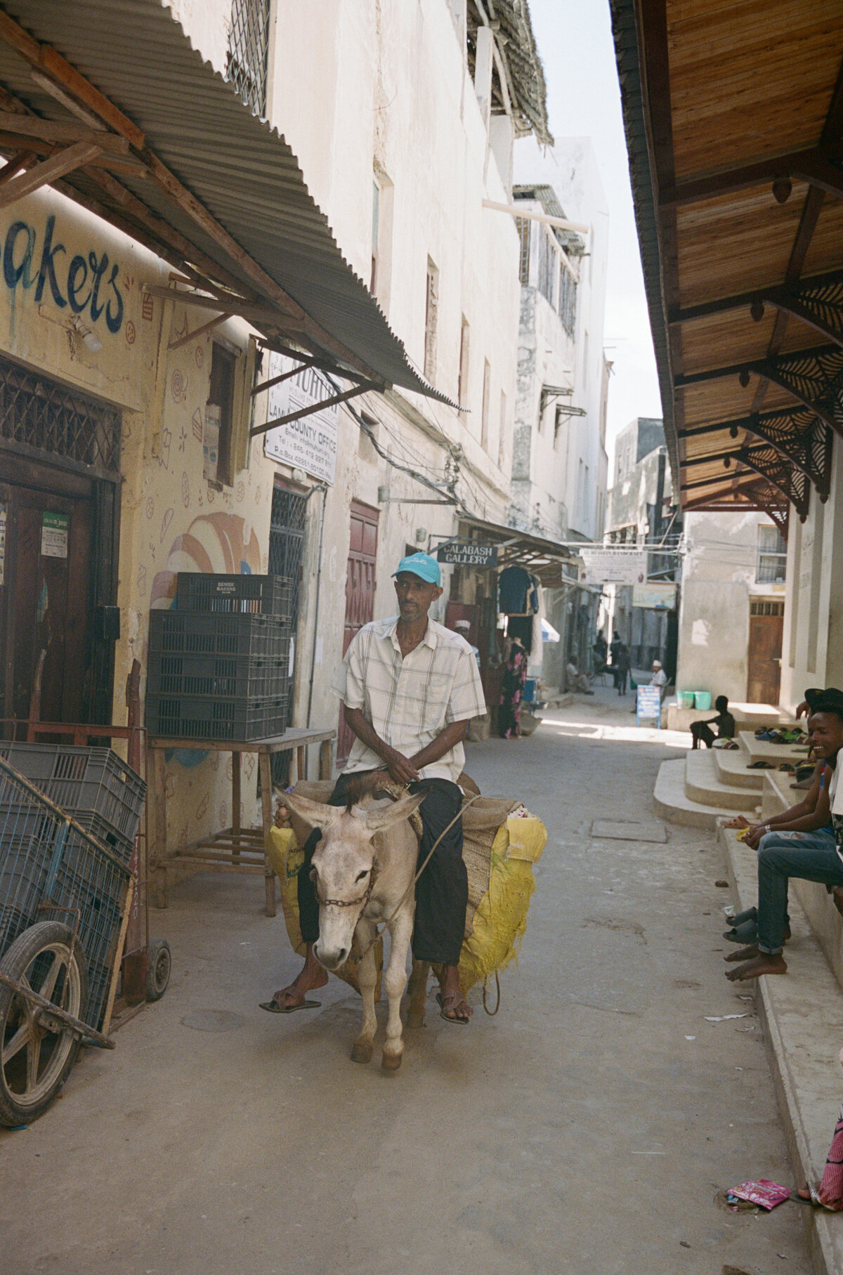 Jennylosee.com (9 of 12)