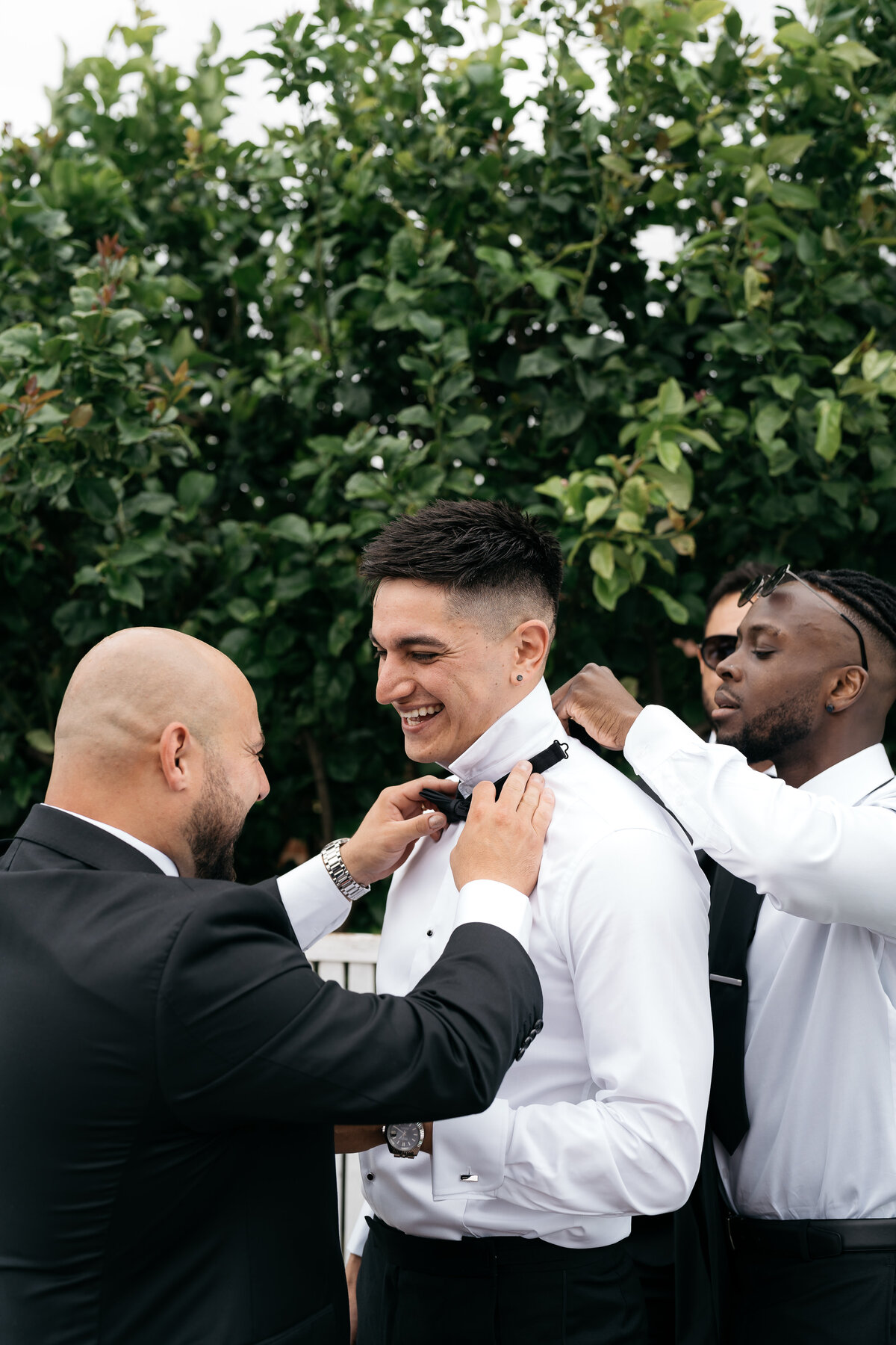 Courtney Laura Photography, Royal Botanical Gardens, The Terrace, Yarra Valley Wedding Photographer, Zoe and Sergio-18
