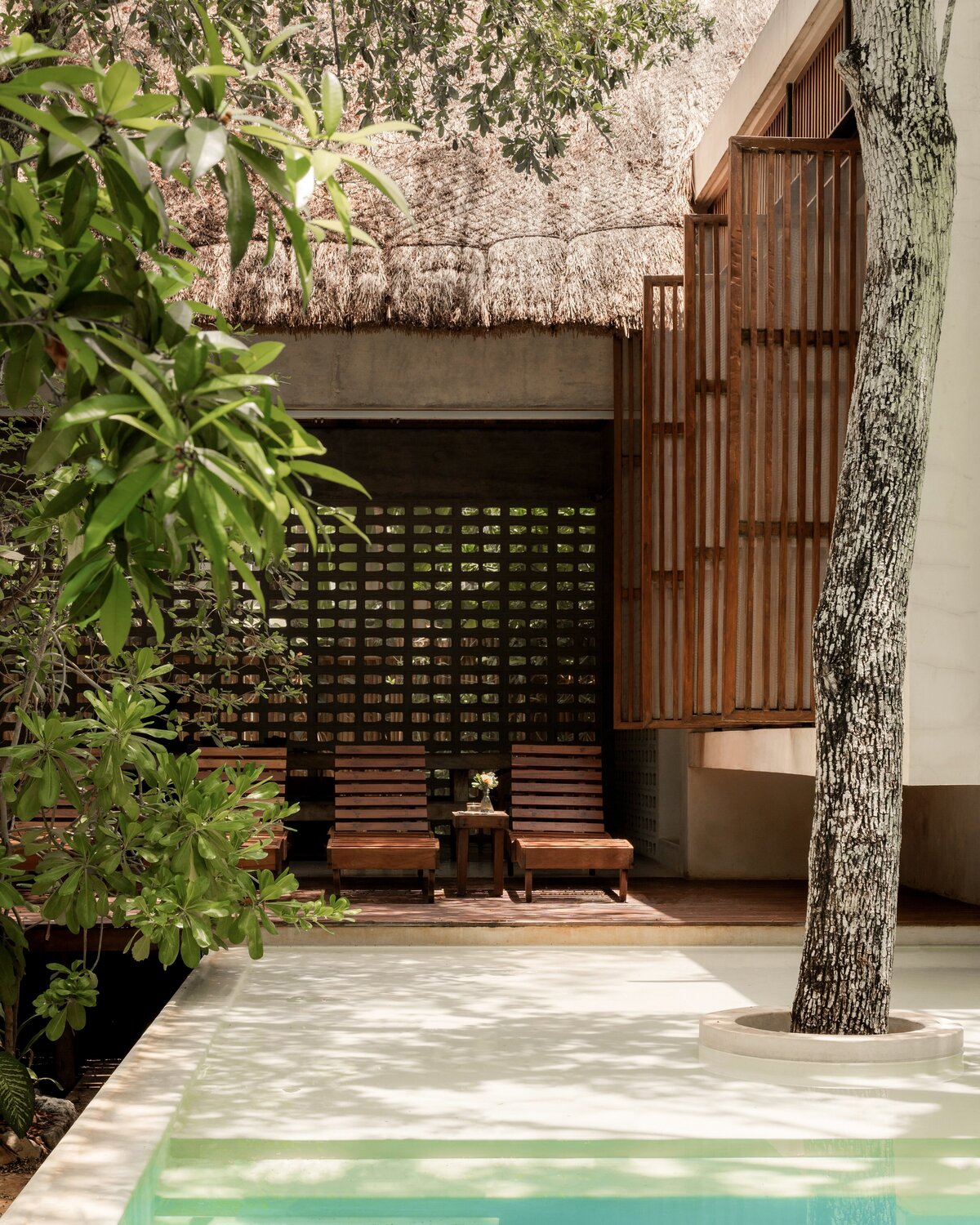 Palms Real Estate Group - Jungle Keva Tulum43