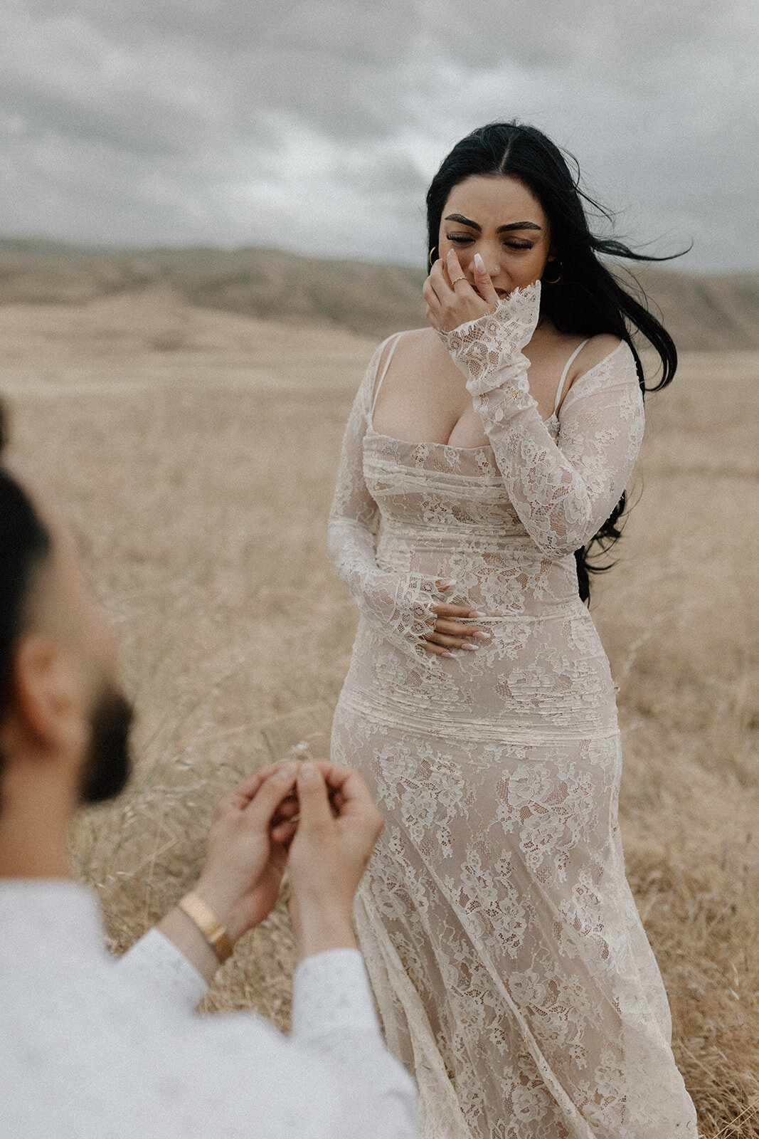 westernfieldproposal-10