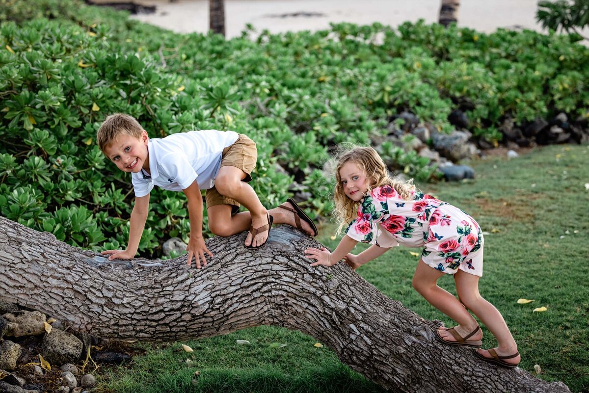 BigIslandFamilyPhotos (14)