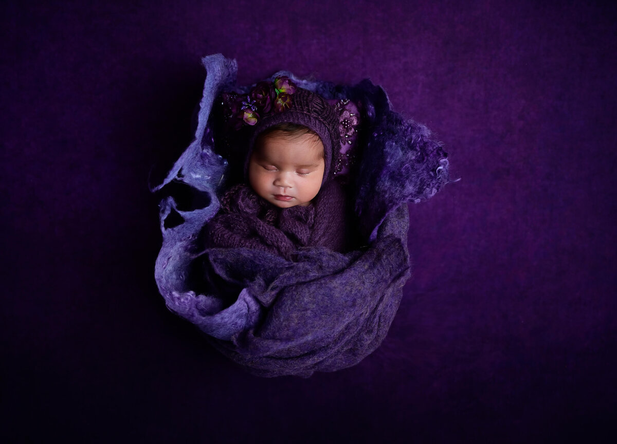 E. Benecki Photography captures an image from a newborn photo session.  Newborn is wrapped in deep purples of felt and fluffs posed in a bowl on a deep purple backdrop.