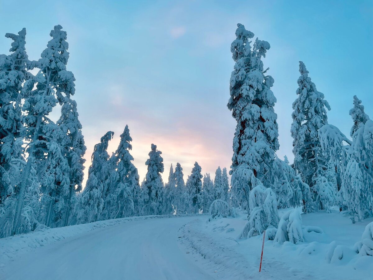 Lapland-De Reistoko-Lapland Ilse 6