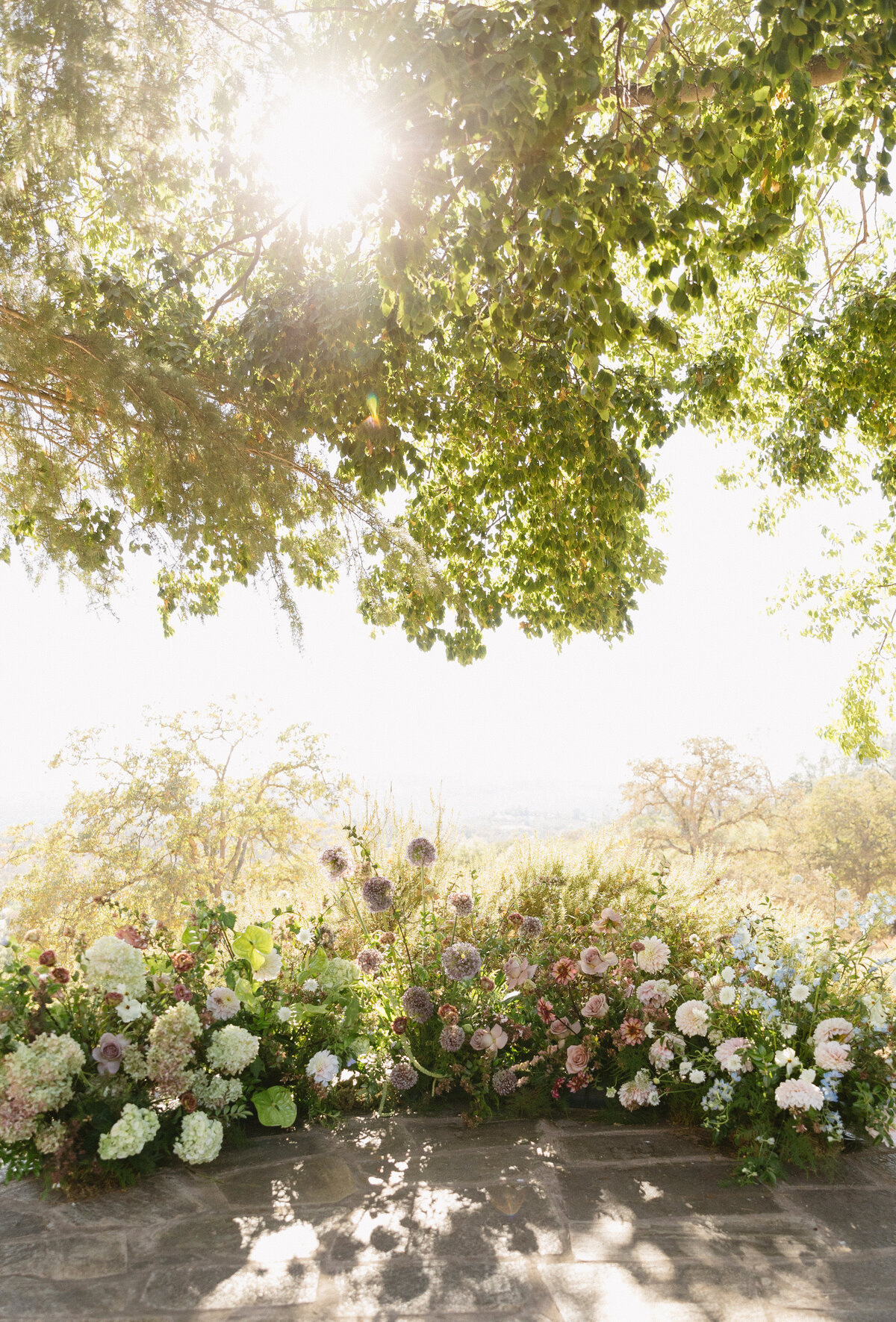 Sacramento wedding planner55