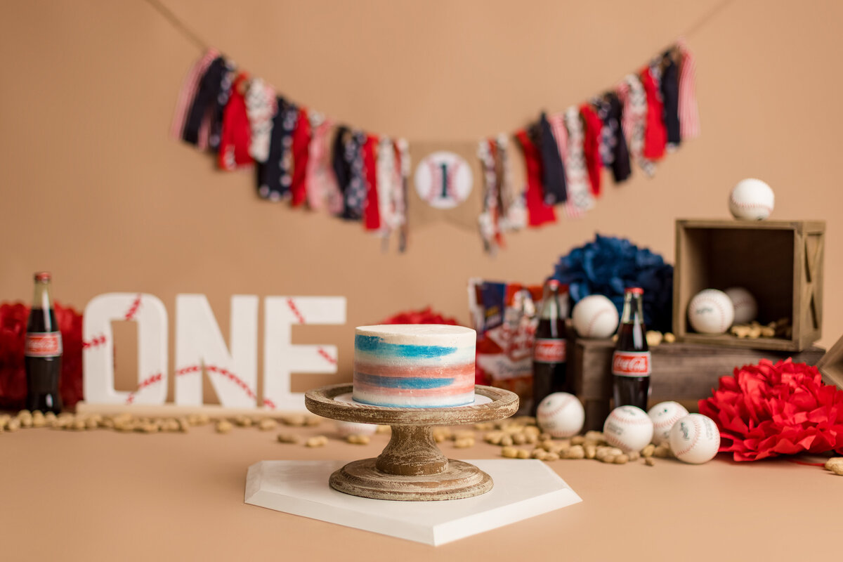 Huntsville AL Cake Smash Photographer
