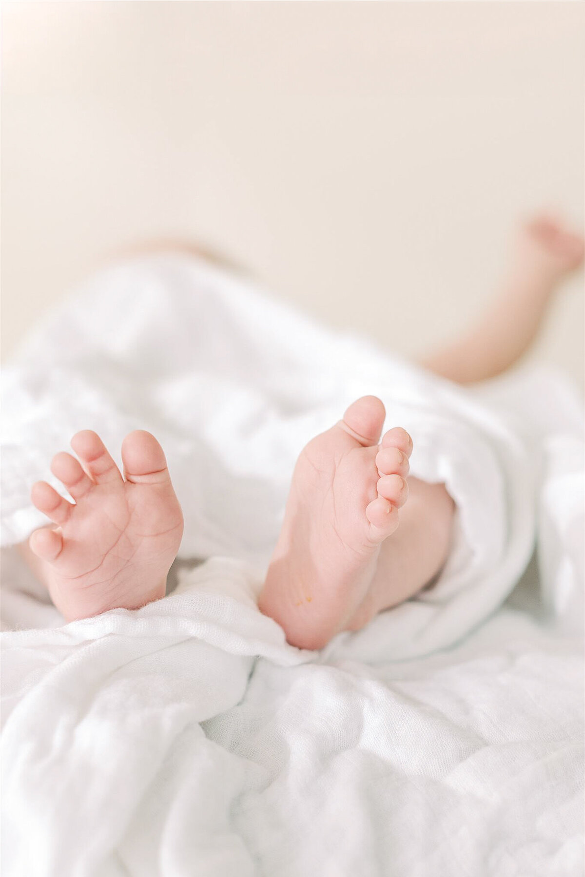 keller maternity photographer