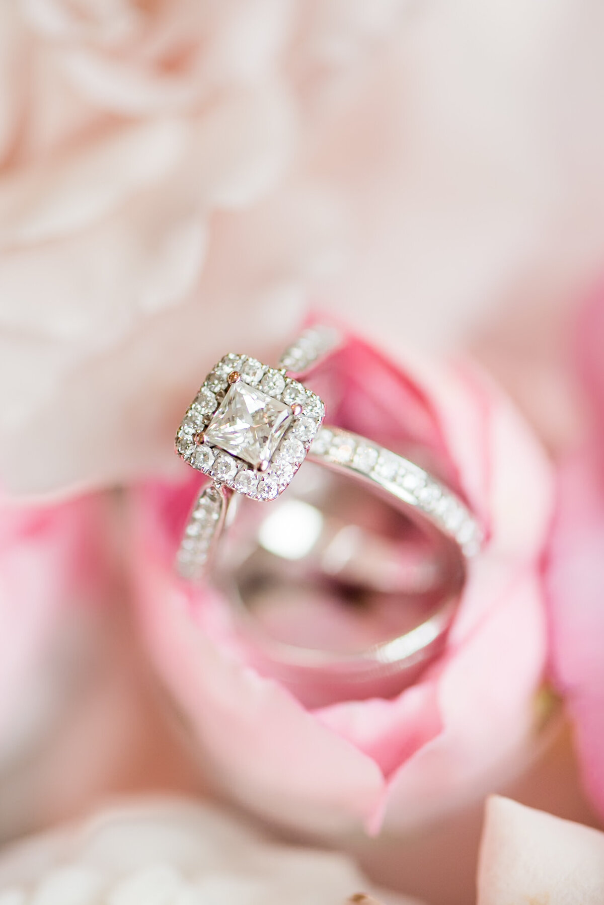 close up of ring on pink flowers