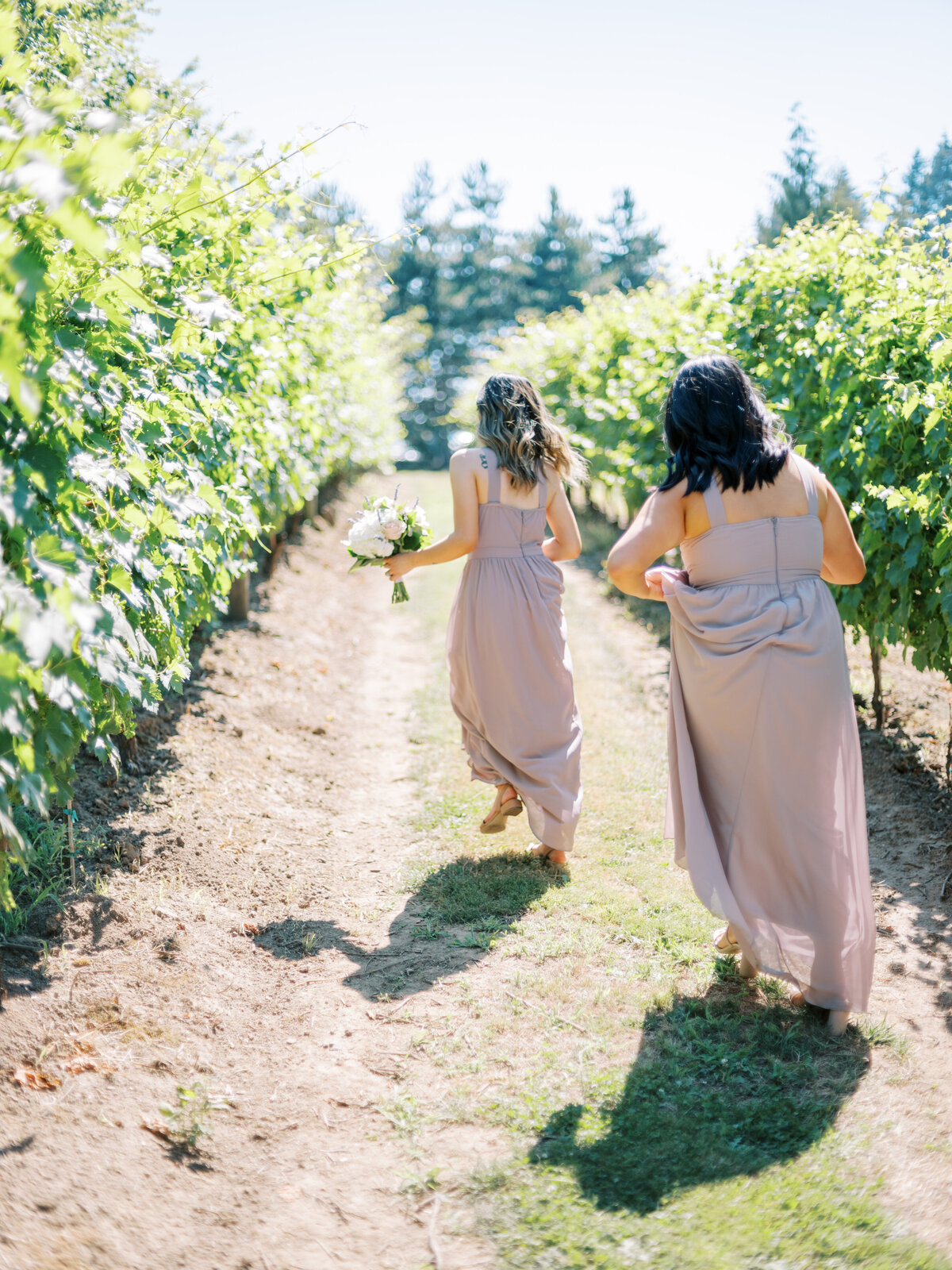 Bridesmaids running through the grape vines at Aurora Hills Winery.