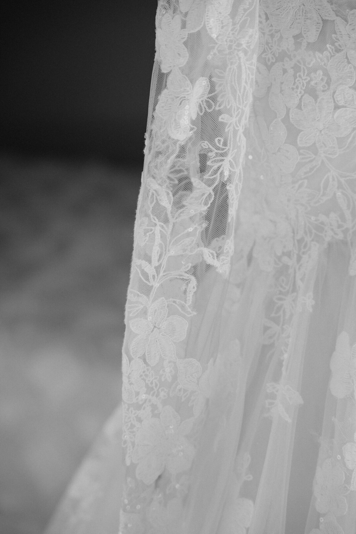 DSC02909