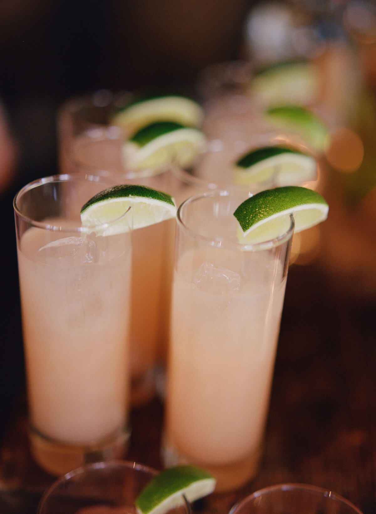 Cedar-Lakes-Estate-Wedding-0009