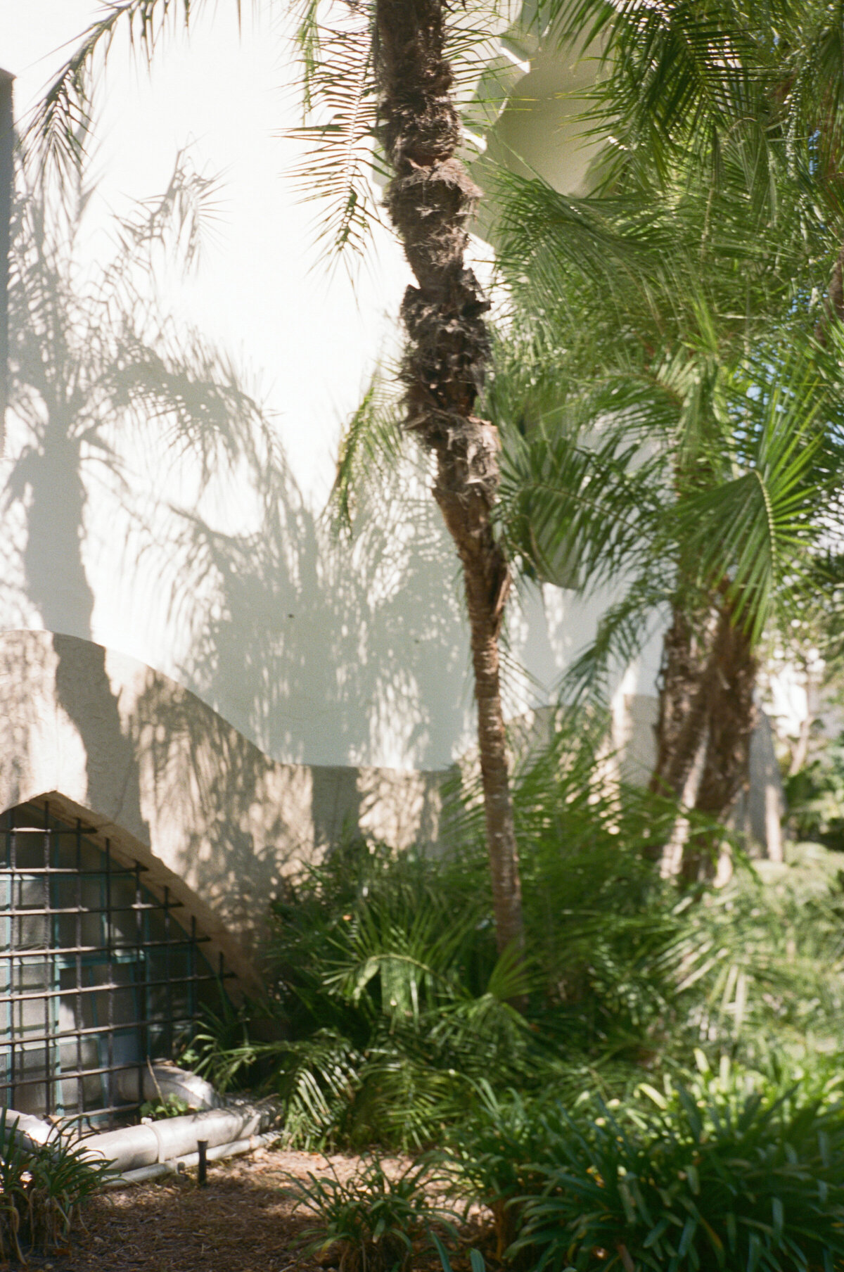 Jenny Losee Photography (21 of 28)