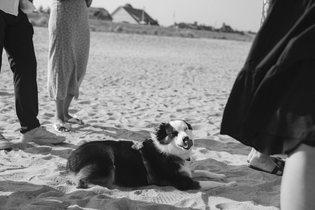 surprise-beach-proposal-photographer-nyc-wedding-photographer-love-melissa-123