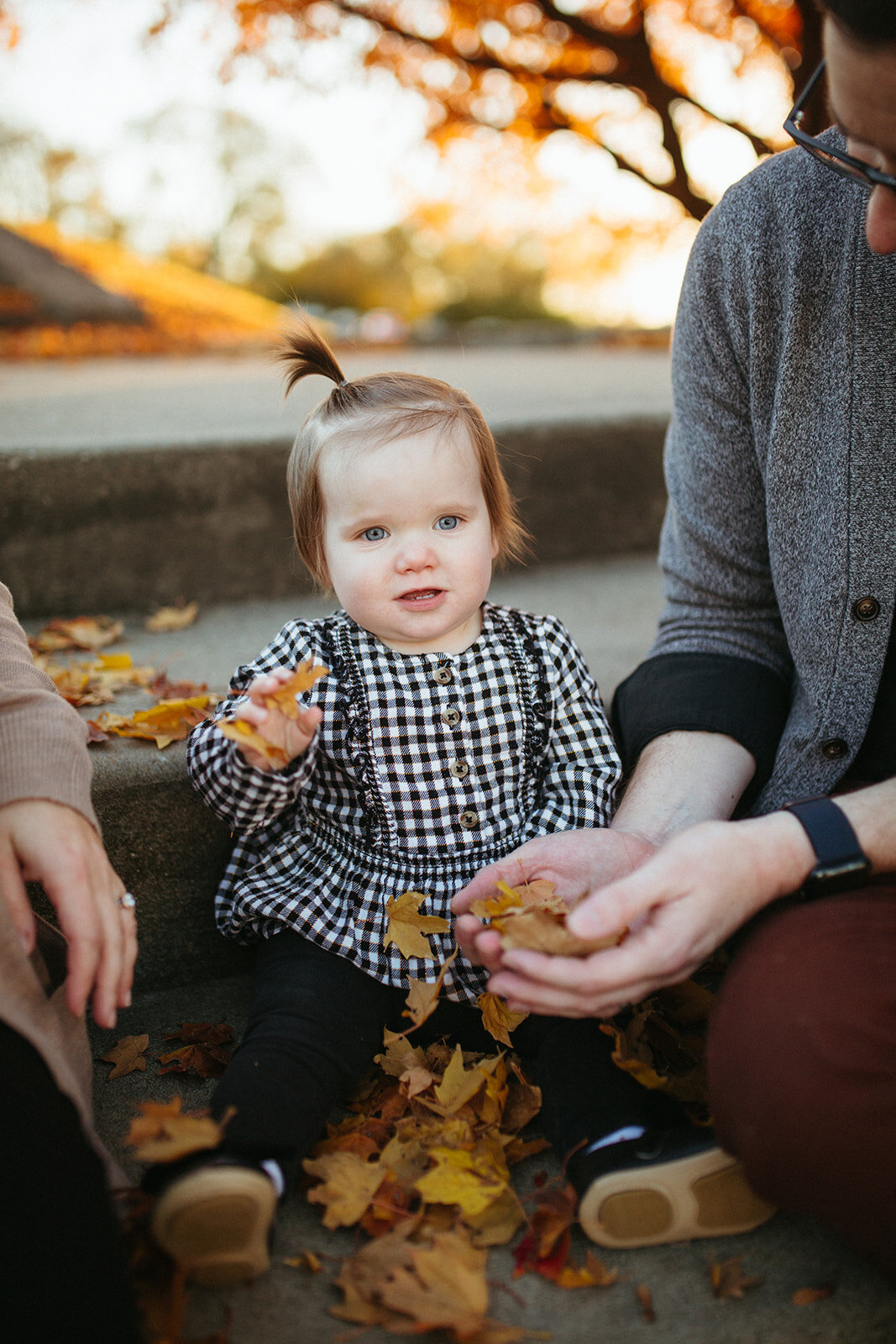 The Holland Family Photos-8088